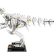 Image for article titled Lego's New Dinosaur Fossils Turn Your Desk Into a Miniature Natural History Museum